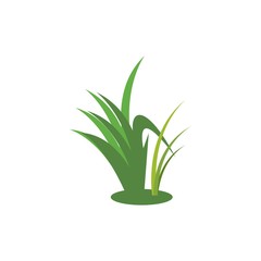 Fototapeta na wymiar Grass logo vector template