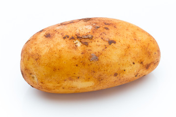 A bio russet potato isolated white background.