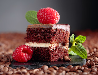 Chocolate cake with raspberry and mint.