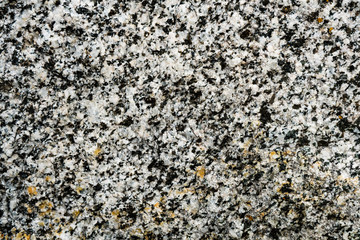 The texture of the stone overgrown with moss. Background image of a boulder