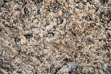 The texture of the stone overgrown with moss. Background image of a boulder