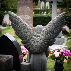 Angel wings from behind in a graveyard.