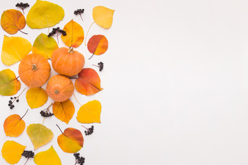 Flat lay of fallen leaves and pumpkins on white background