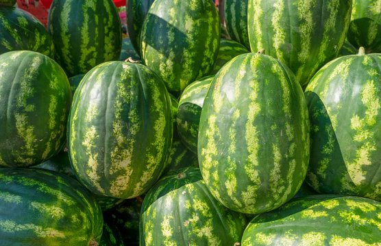 Ripe big water-melons with a green striped skin on a counter of a market - Image.