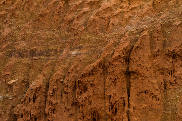 Texture of dried cracked clay. Macro background image of dried clay