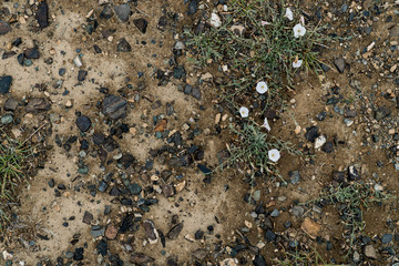 The texture of fine stone on the ground with grass and flowers. Background Image Macro Photography