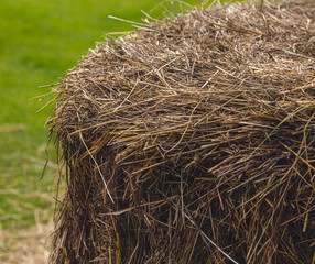 a stack of hay