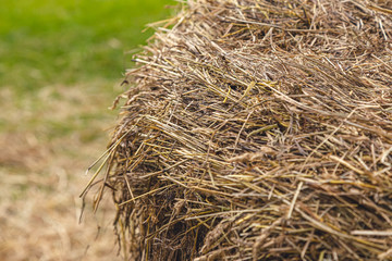 a stack of hay