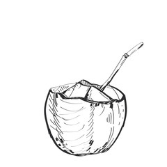 coconut with a straw sketch, black contour isolated on white background. simple art, Can be used for Card banner template, copy space. Vector