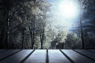 Obraz premium Empty dark background. Halloween pattern background. Moonlight through the trees in the forest. Wood worktop