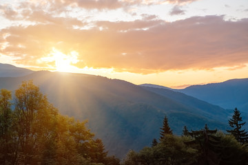 Colorful summer landscape in the mountains. Sunset
