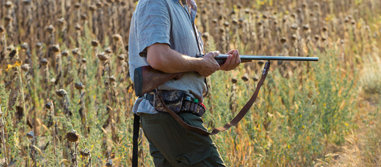  Hunting period, autumn season open. A hunter with a gun in his hands in hunting clothes in the autumn forest in search of a trophy. A man stands with weapons and hunting dogs tracking down the game.