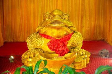 Feng Shui frog sitting on money and old china coins in Yanoda rain forest in park next to Sanya, Hainan, China