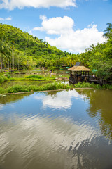 Fototapeta premium Yanoda rain forest in park next to Sanya, Hainan, China