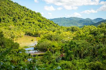 Fototapeta na wymiar Yanoda rain forest in park next to Sanya, Hainan, China