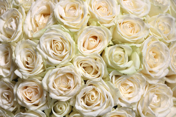 Obraz na płótnie Canvas Natural floral background with bouquet of white roses