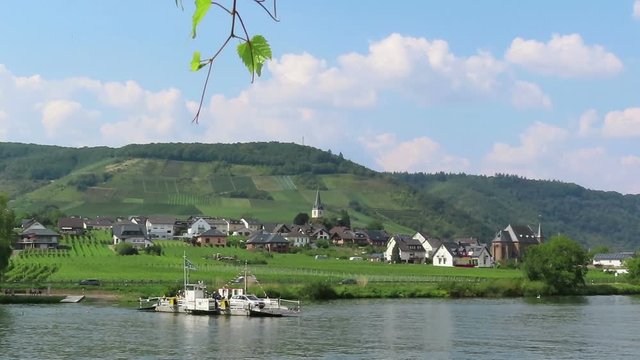 car and passenger ferry from Ellenz towards Beilstein at Moselle River. View over vineyards.