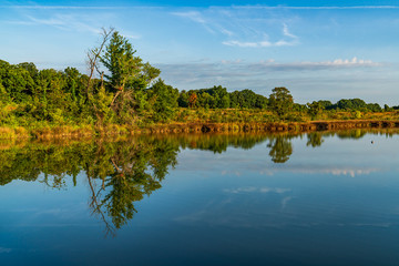 Pond with reflections and Blue Sky