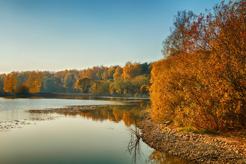 Beautiful autumn landscape. Golden Forest and Lake