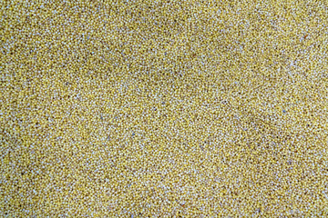 millet groats texture background. nutrition. bio. natural food ingredient.