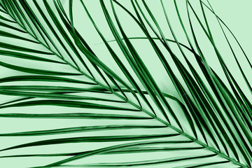 Neo-mint background. Colour of the year 2020.