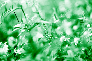 Neo-mint background. Colour of the year 2020.