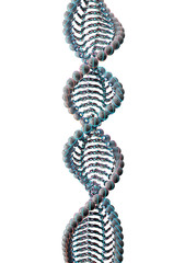 3d hyper realistic render of an artificial DNA molecule, the concept of artificial intelligence, on...