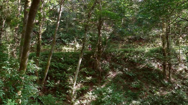 4K footage of a female backpacker pilgrim on the Way to Santiago de Compostella on the Camino del Norte of Camino de Santiago on forest path.
