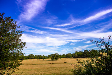 landscape countryside in souvigny, allier, France