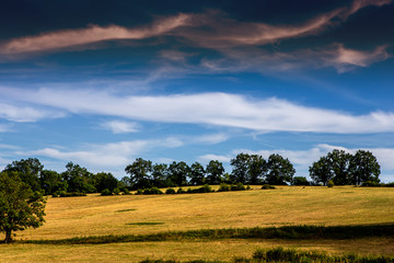 landscape countryside in souvigny, allier, France