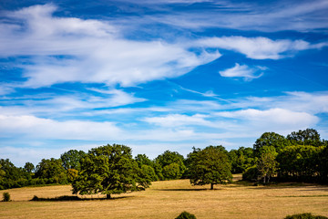landscape countryside in souvigny, allier, France