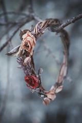 Kranz mit trockenen Pflanzen und Blumen am Baum © darkbird