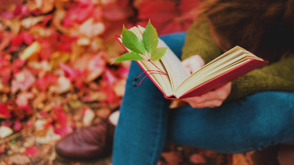 Girl in blue jeans sitting among colorful ivy in autumn and reading a book in red cover