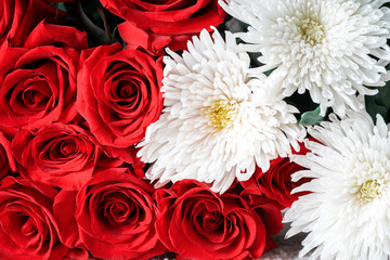 Buds of red roses and white chrysanthemums close-up. Bright festive floral background.