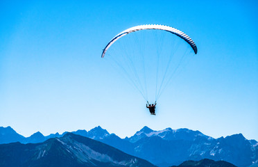 paraglider