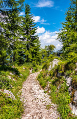 Fototapeta na wymiar path at the european alps
