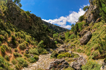 Rocky path leading through the Imbros Gorge on the island of Crete.