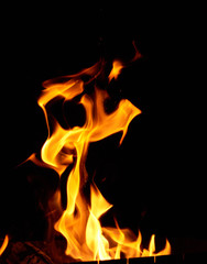 Fototapeta premium burning wooden logs and large orange flame on a black background