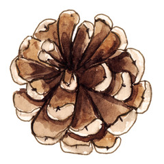 Watercolor hand painted isolated element for christmas design, wreath, decoration, greeting cards, invitation. New year 2020, tree, spruce, cone