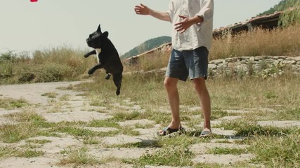 Man plays with french bulldog outside in park