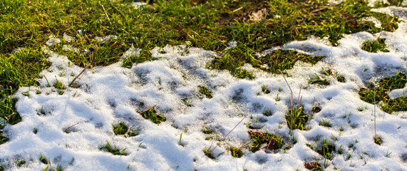 Obraz na płótnie Canvas Snow on the green grass in spring