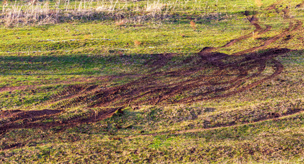 Traces of a car on dirty soil