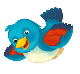 Cartoon exotic colorful bird flying on white background - illustration for children