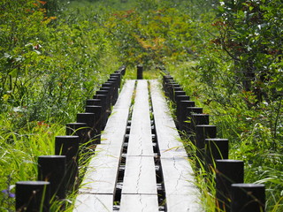 木道