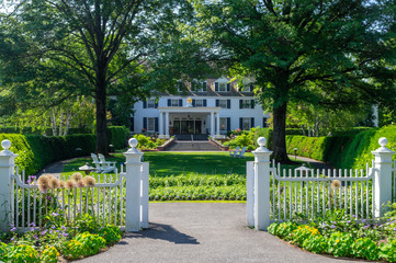 Mansion in the Trees