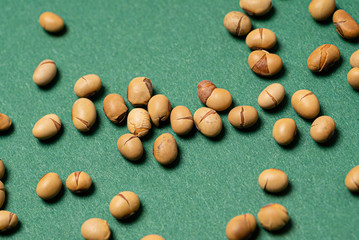 roasted soy beans, top view