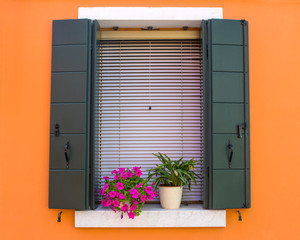 Window with Flowers in Burano