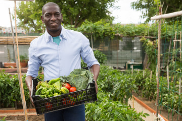 Young man  gardener holding  harvest of fresh vegetables