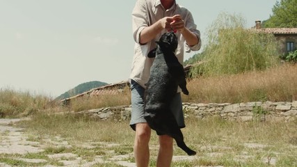 Man plays with french bulldog outside in park