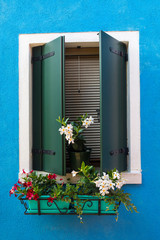 Window with Flowers in Burano